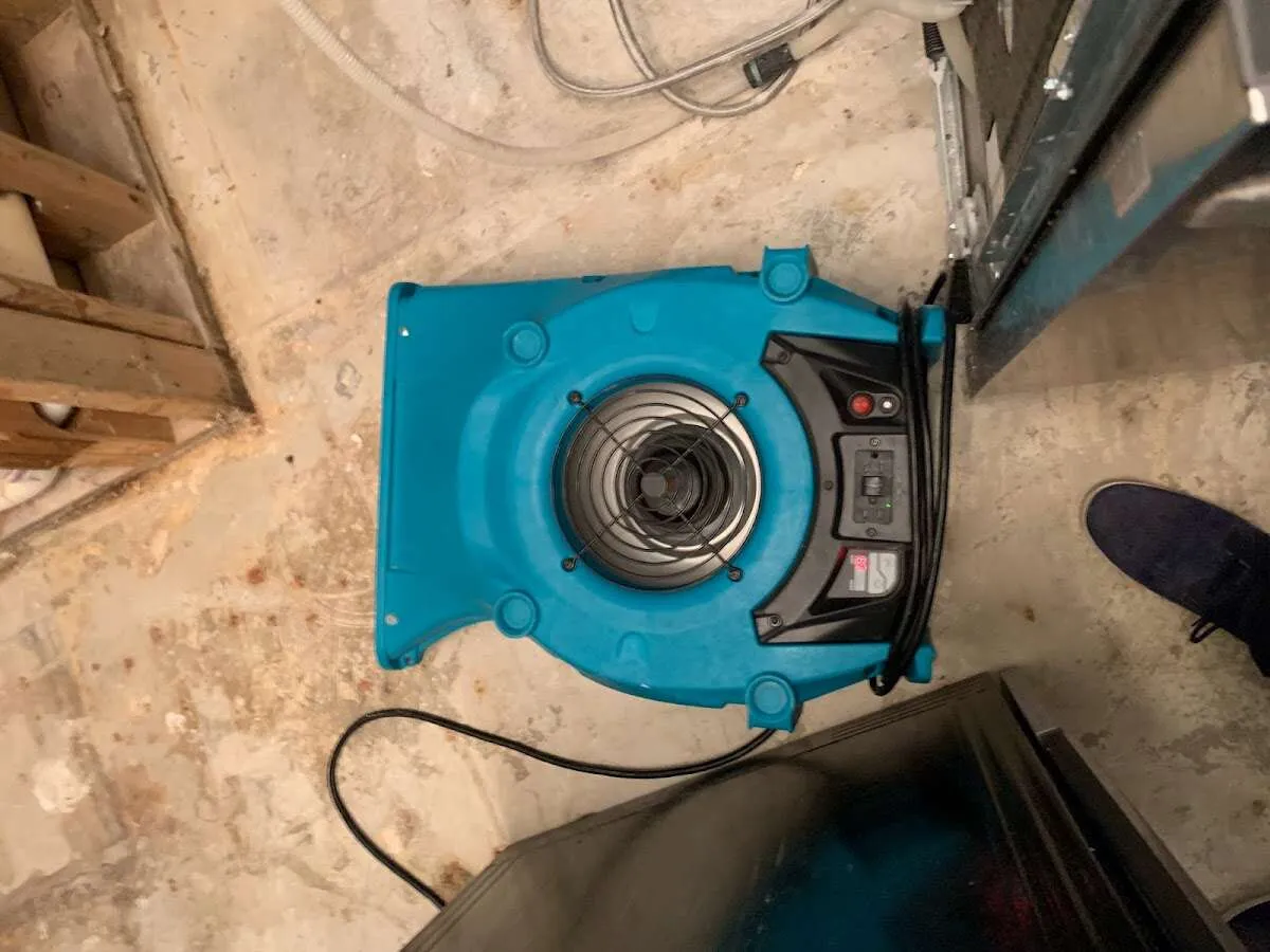 Air mover drying equipment for Mold Remediation & Removal in Immokalee